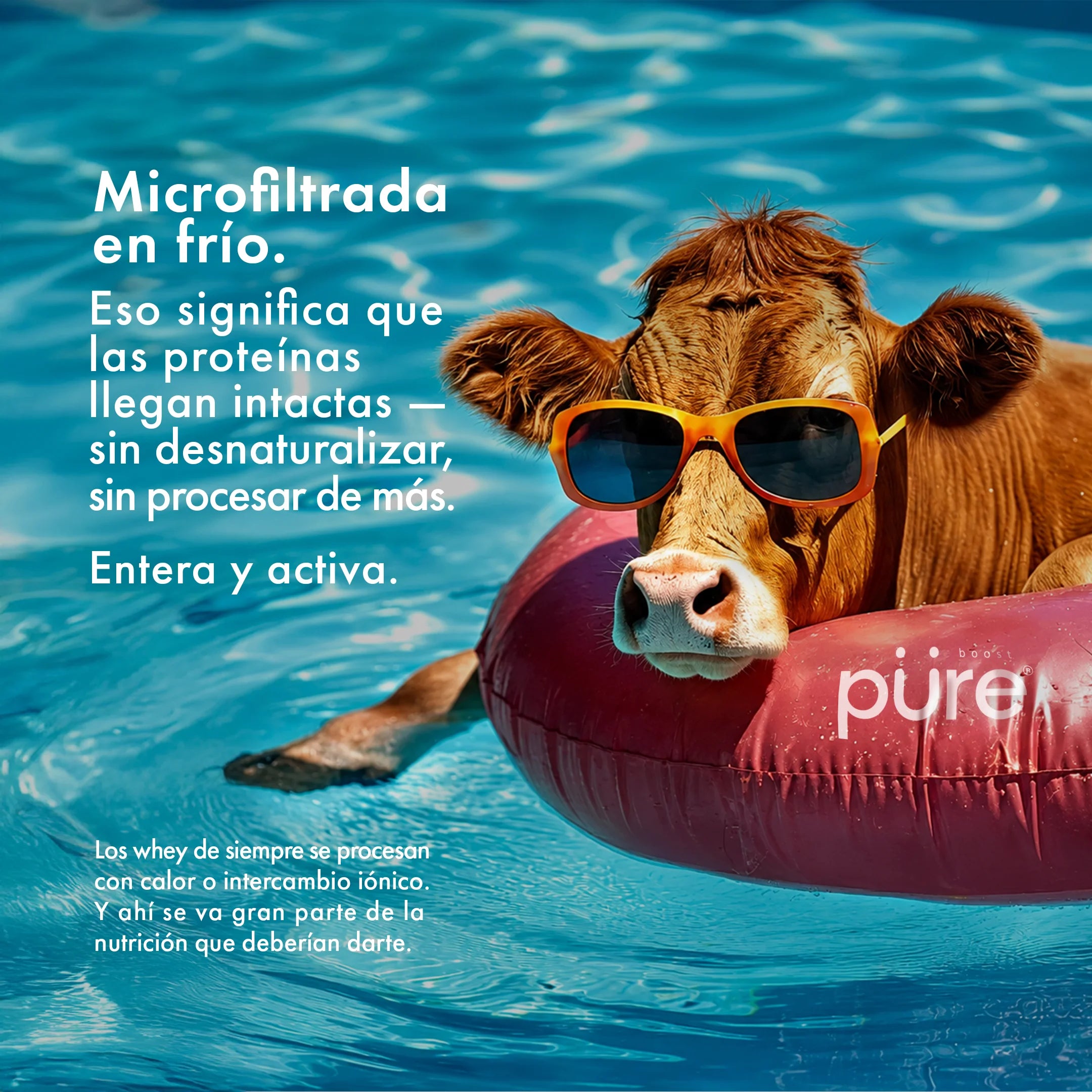 Protein-summer