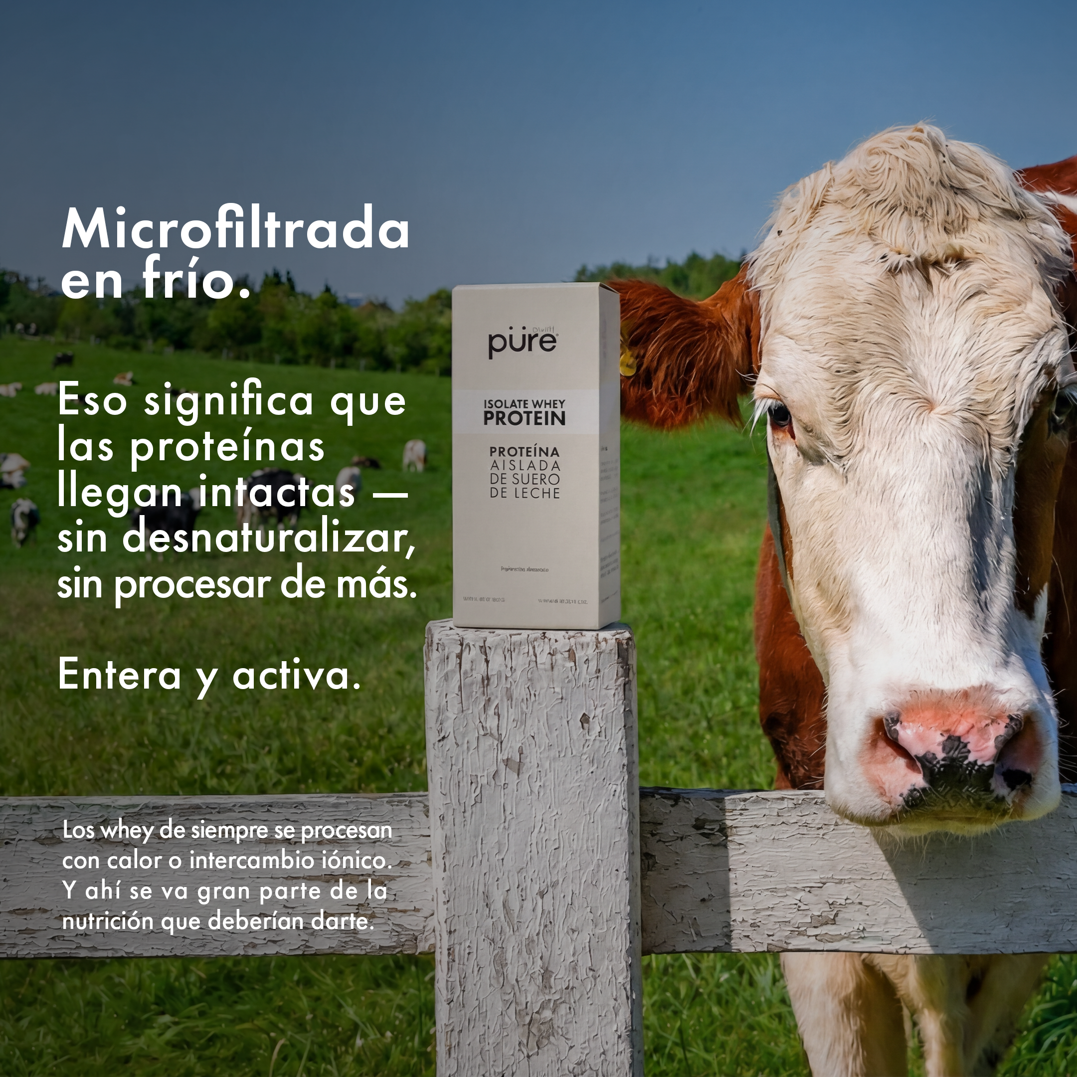 ISOLATE WHEY PROTEIN • Frutos rojos